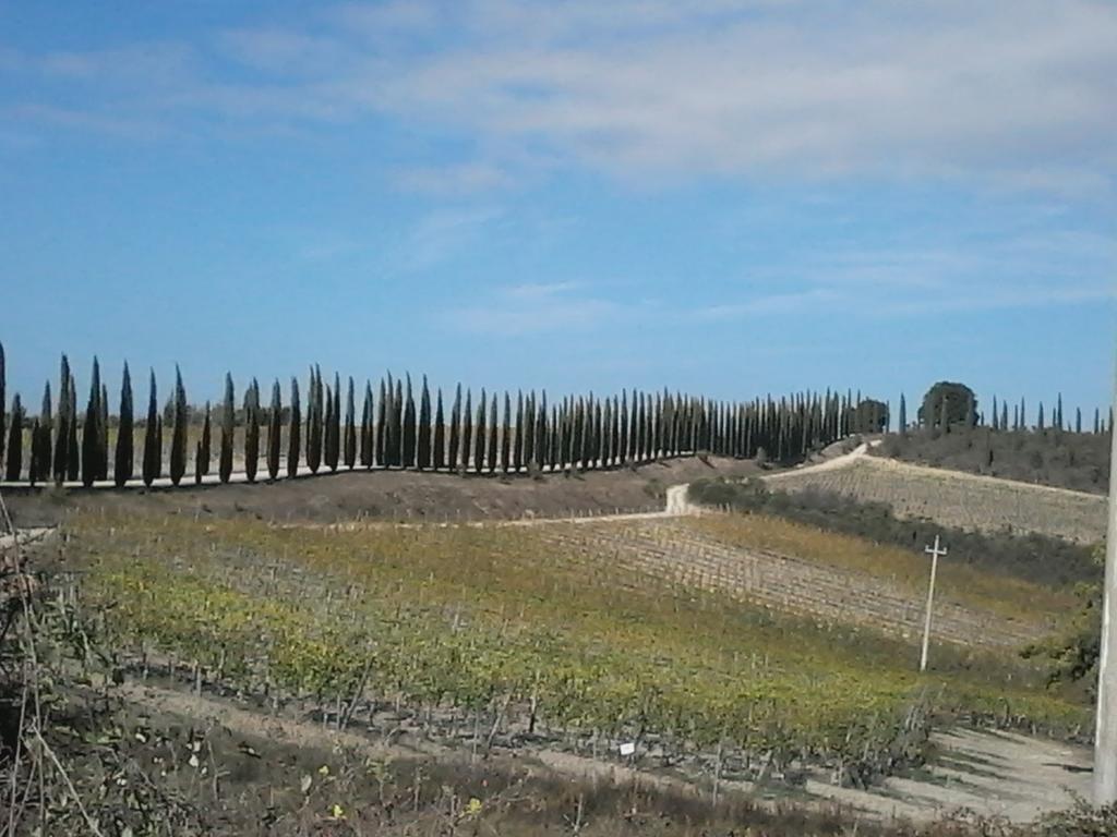 فندق Cisterna Nel Borgo Castiglione dʼOrcia المظهر الخارجي الصورة